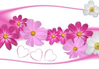 /album/arka-planlar/a2-jpg/