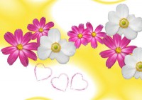 /album/arka-planlar/a3-jpg/