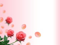 /album/arka-planlar/a9-jpg/