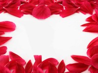 /album/arka-planlar/a10-jpg/