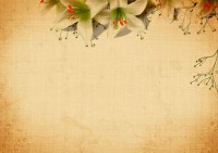 /album/arka-planlar/a13-jpg/