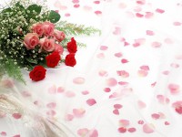 /album/arka-planlar/a15-jpg/